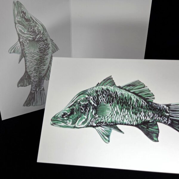 5x7 Greeting Card Australian Barramundi